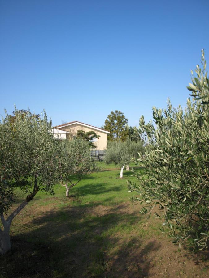 Ferienwohnung Παληοκτημα - Palioktima Neon Rysion Exterior foto